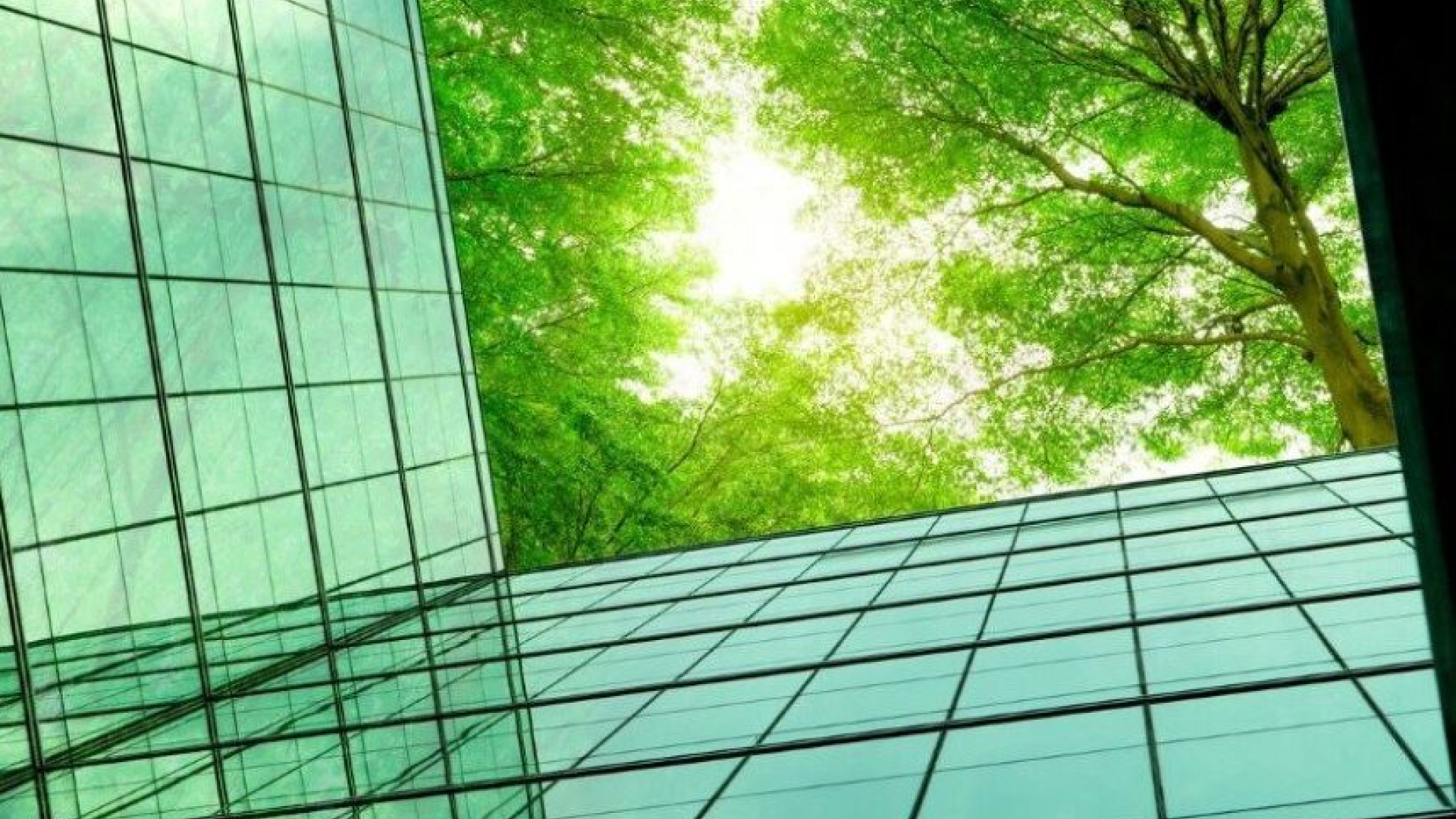 Going digital with our sustainable offering