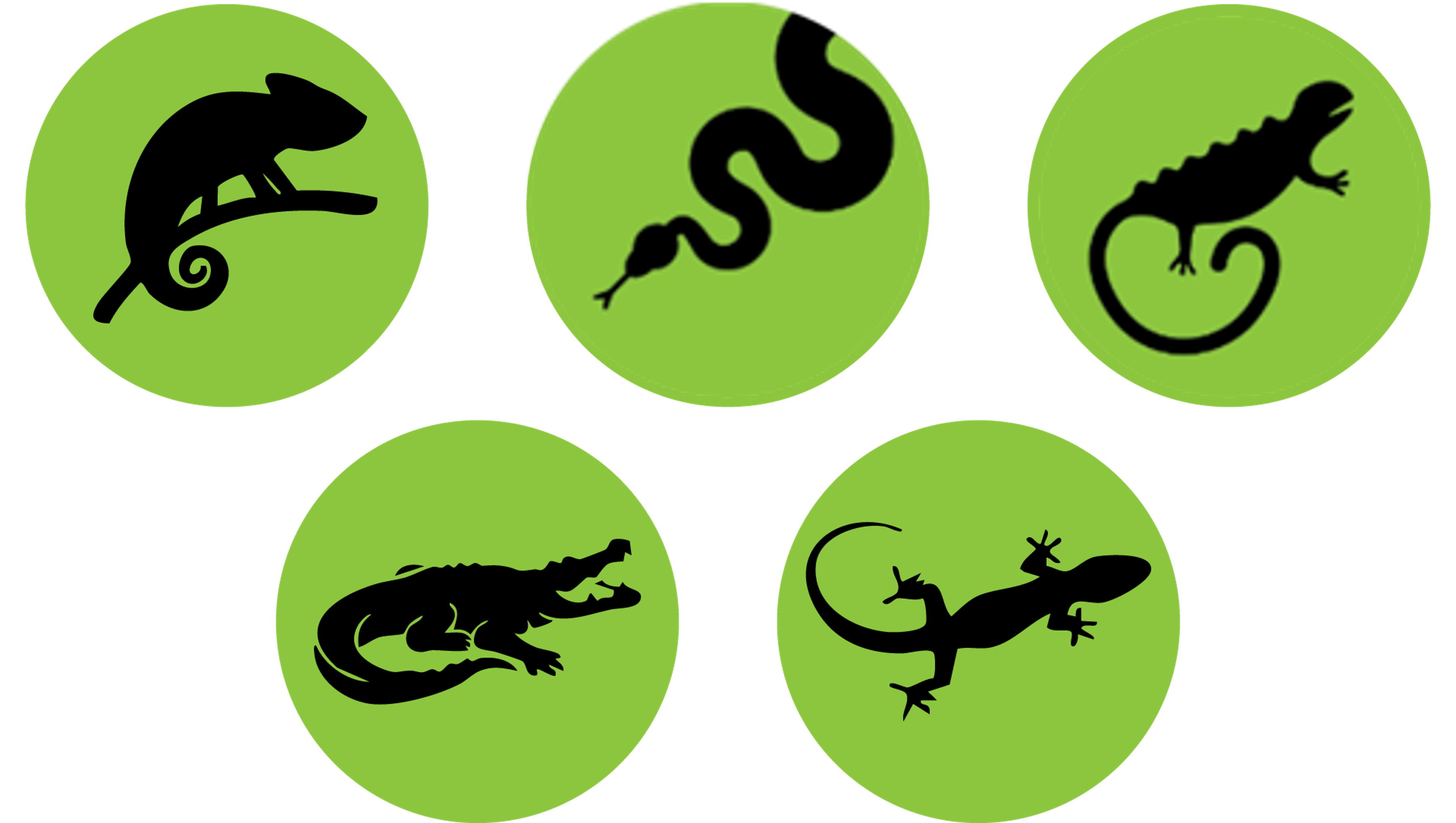 algos logo intelligent execution