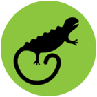 iguana logo